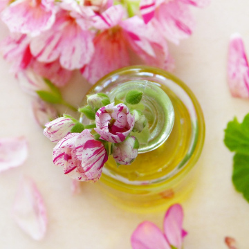 Geranium essential oil - 10ml